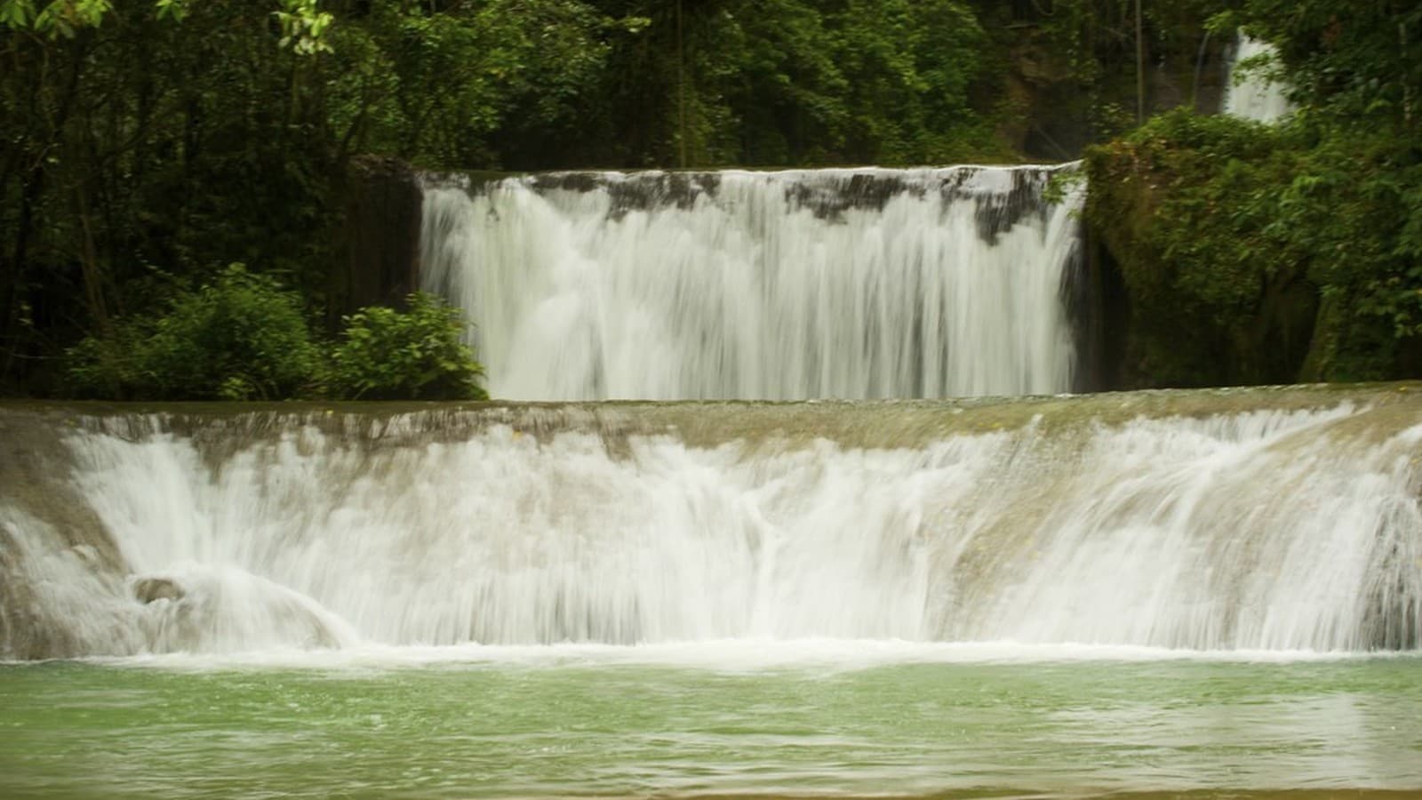 Stepped cascades at YS Falls